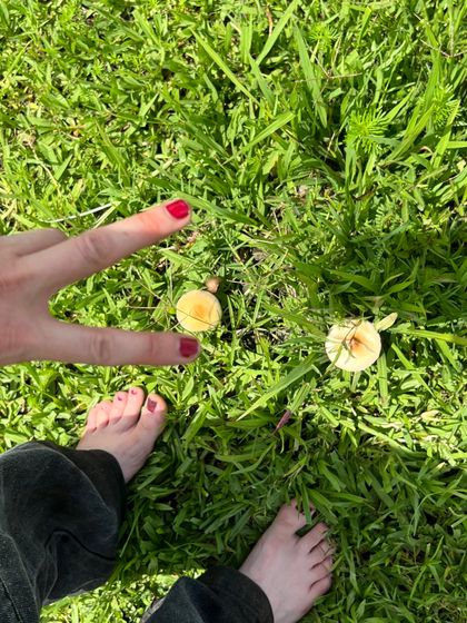 venusfeet4u OnlyFans picture