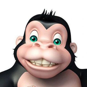 TheWebGorillas