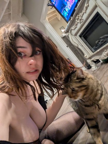 studygreed OnlyFans picture