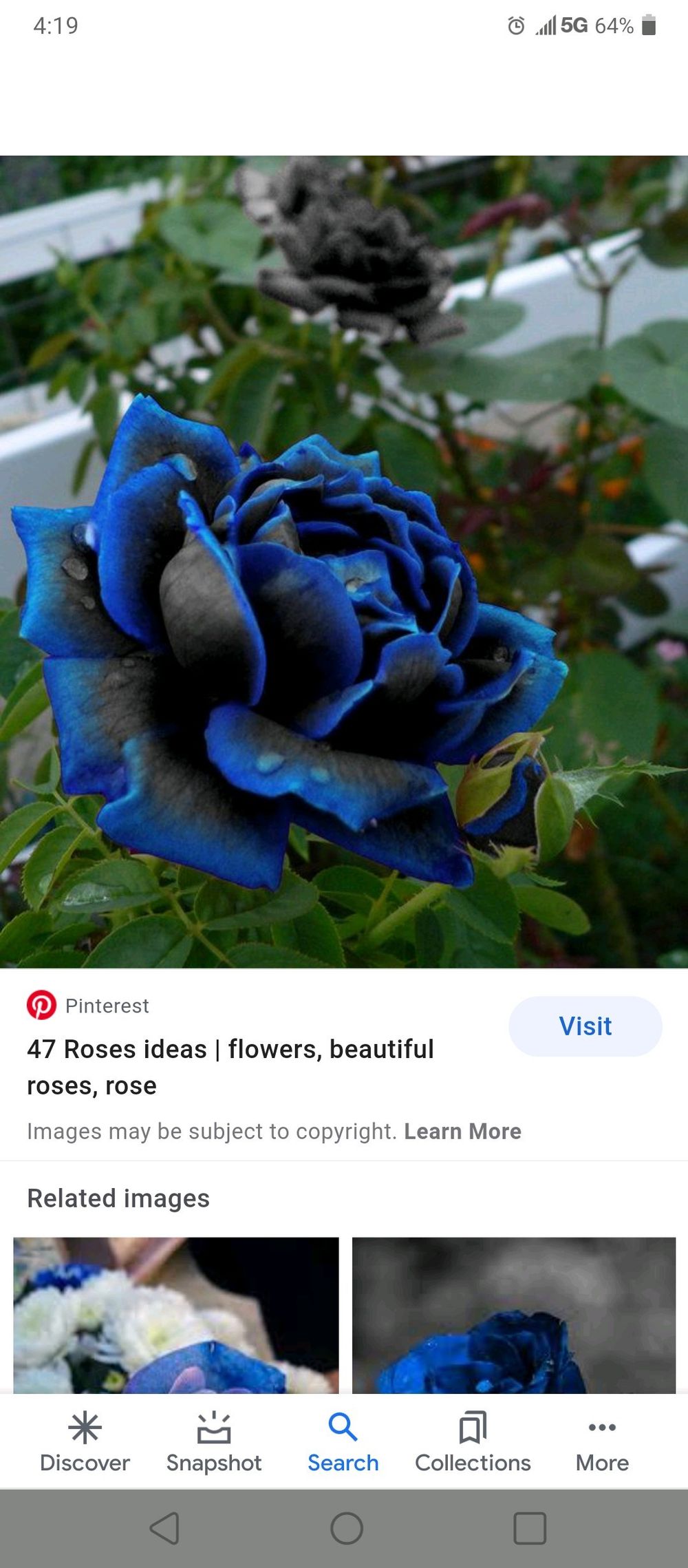 crazy_women98 OnlyFans profile picture