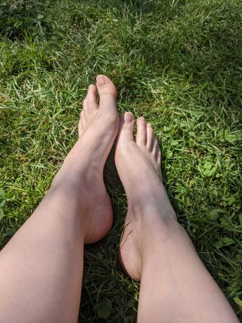 SwissLittleToes