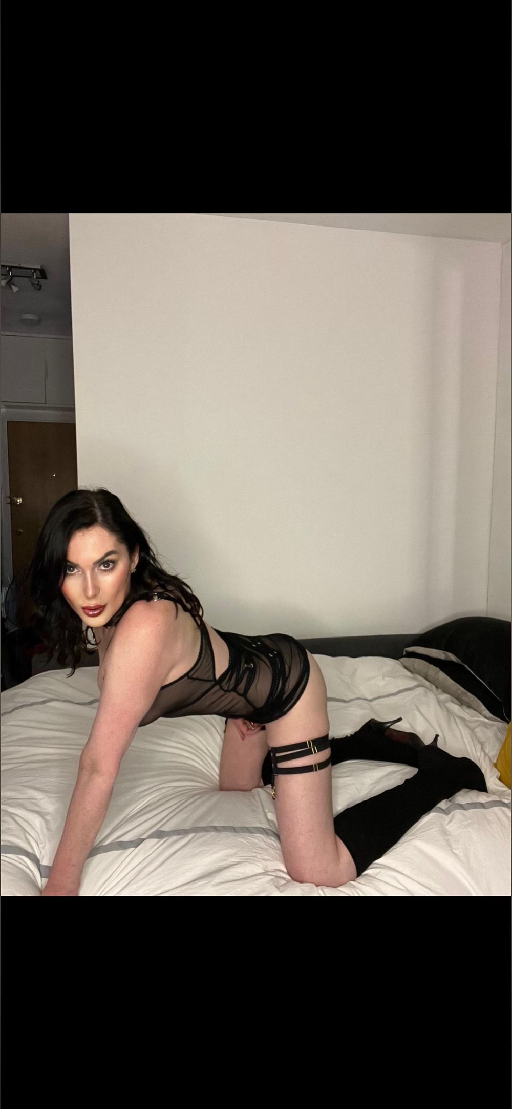 ts-amandalorian OnlyFans profile picture