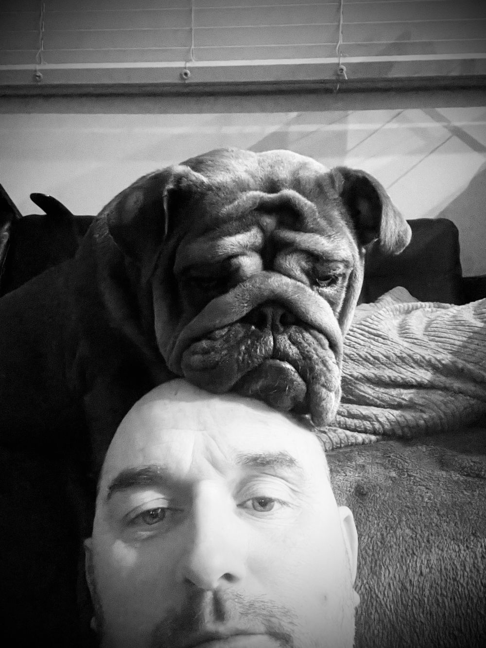 dadbodalicious OnlyFans profile picture