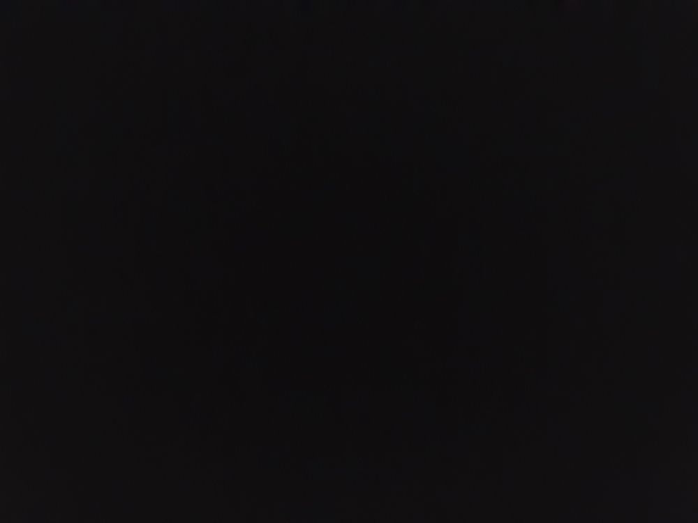 lilambervert OnlyFans profile picture