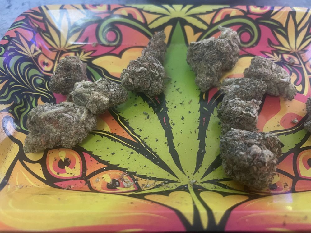 cannabiscookies OnlyFans profile picture