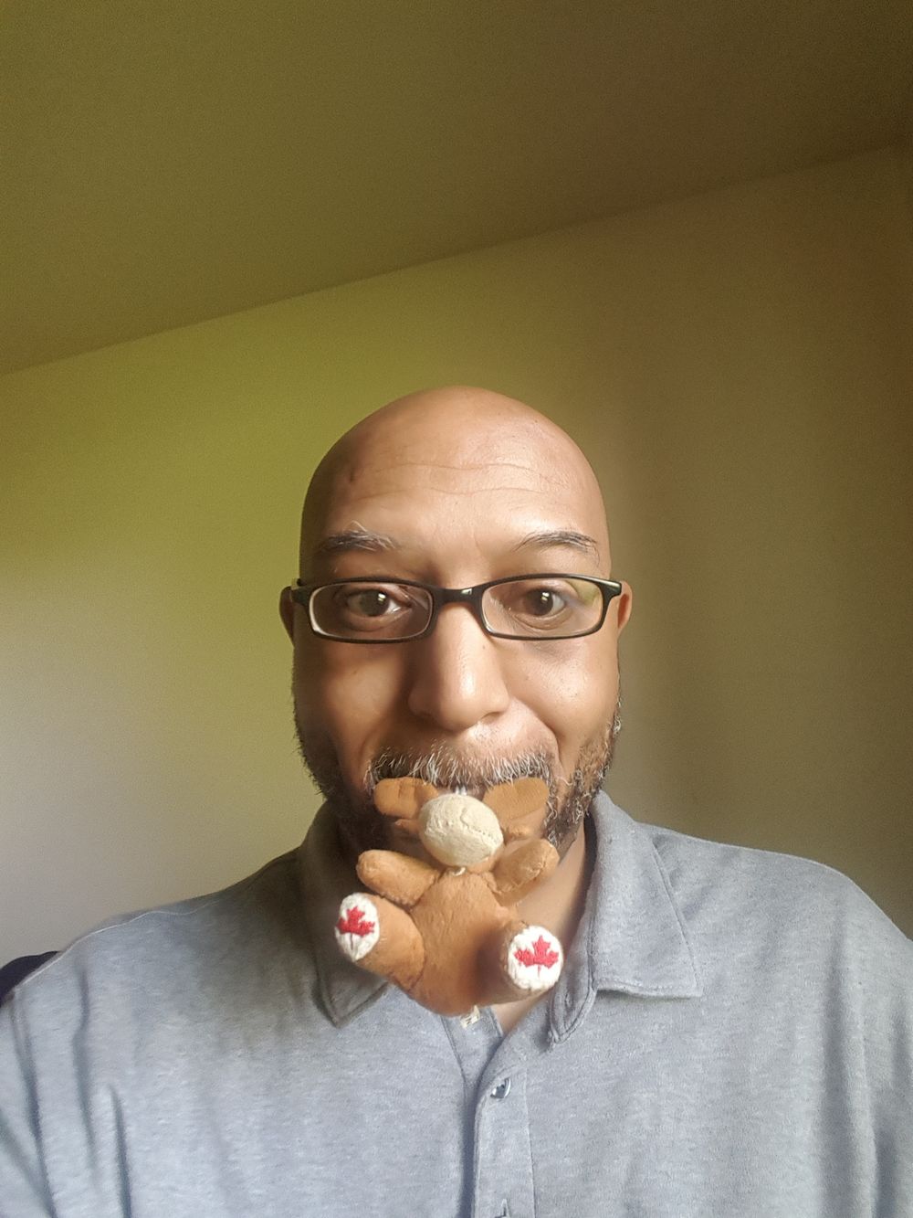 wadethornhill OnlyFans profile picture