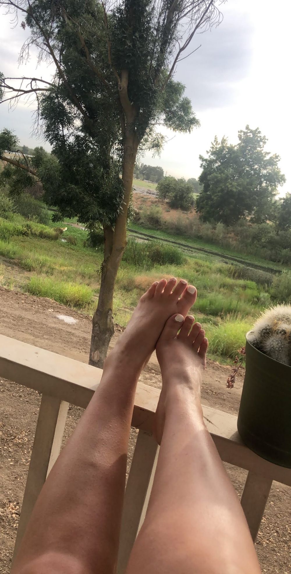 tootsie.toesies OnlyFans profile picture