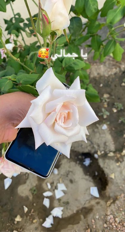 gcc_boys OnlyFans picture
