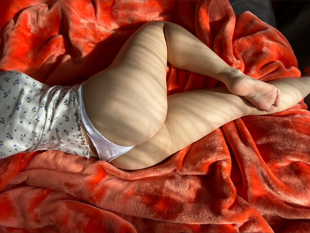 majesticove OnlyFans profile picture