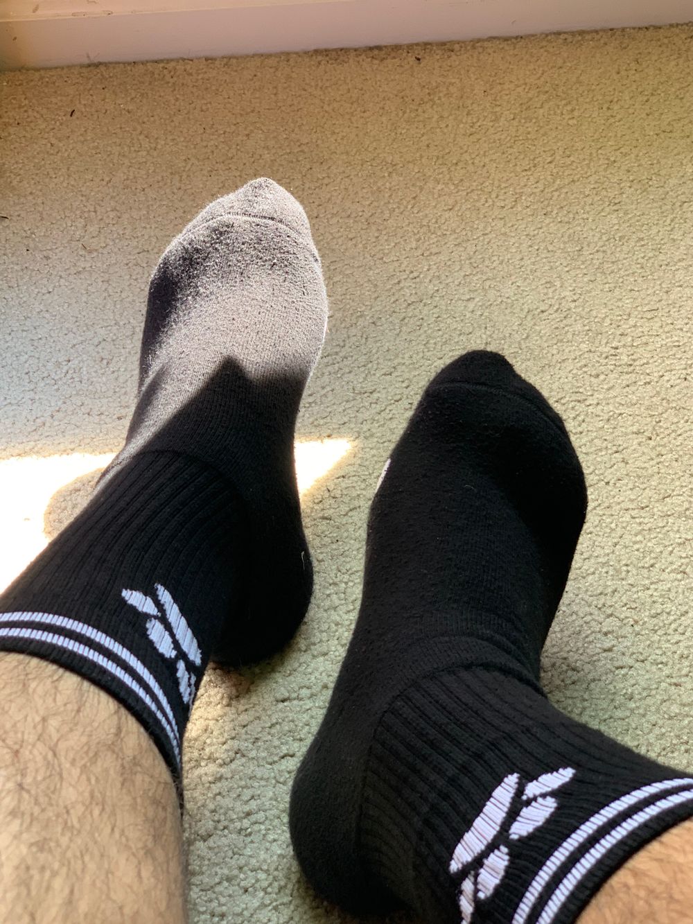 gymbrofeet10.5 OnlyFans profile picture