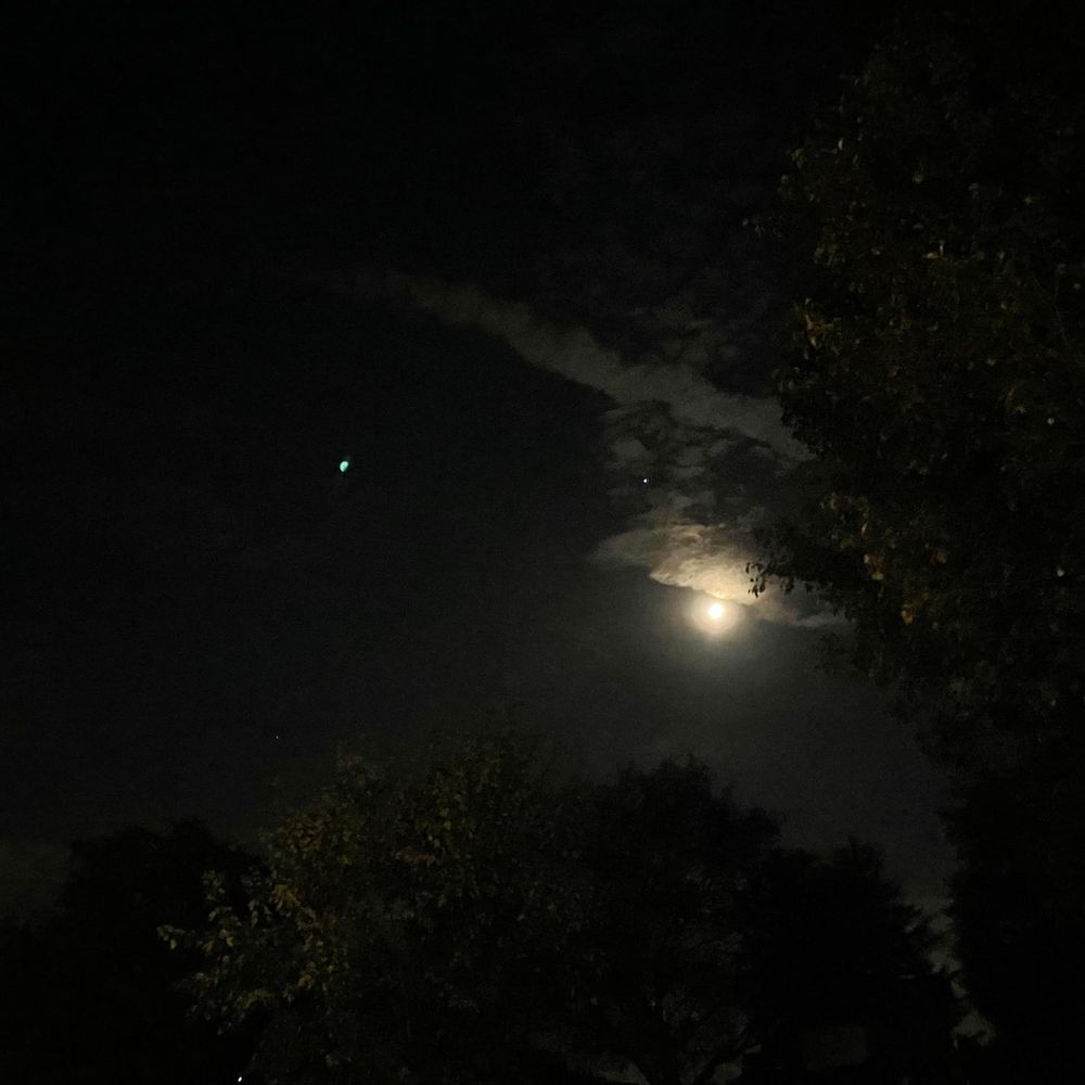 moon.phases OnlyFans profile picture
