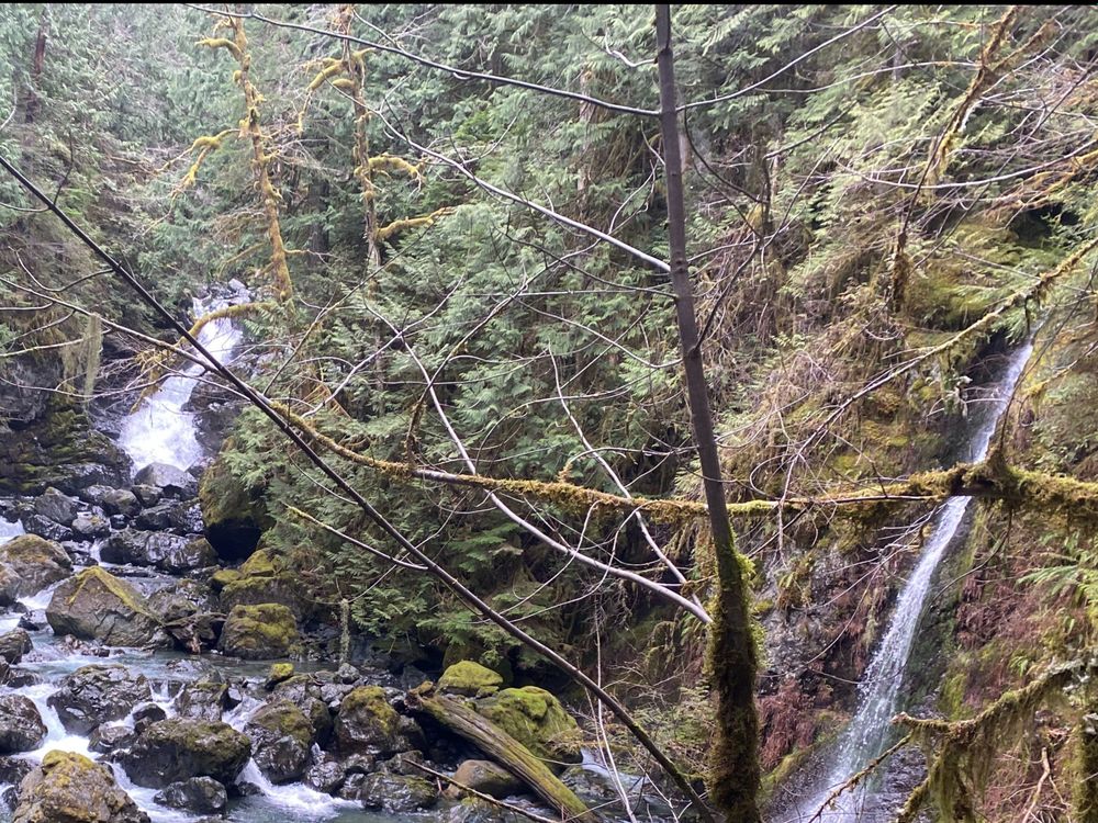 brattybbs OnlyFans profile picture