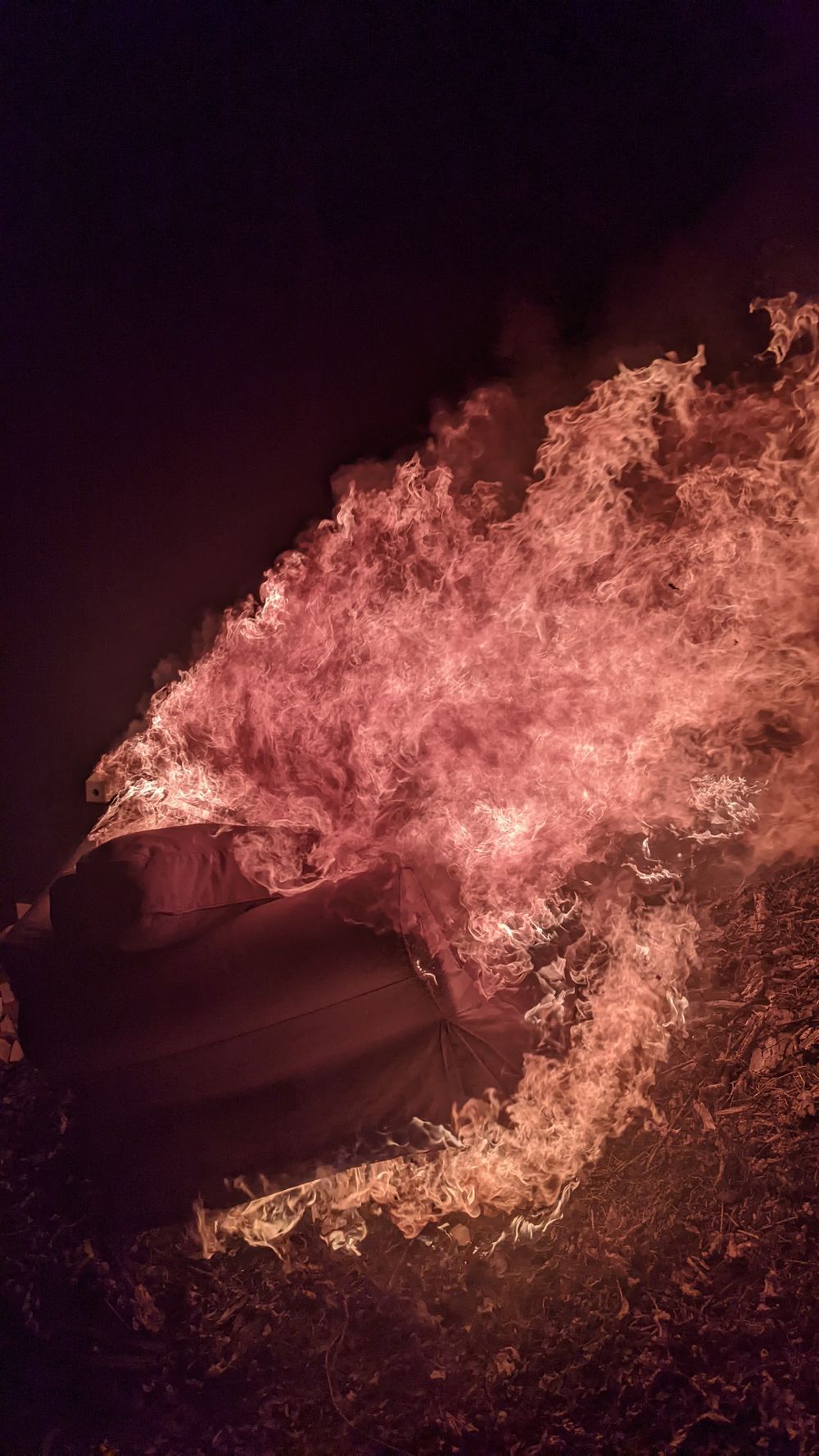 thiccnessjp OnlyFans profile picture