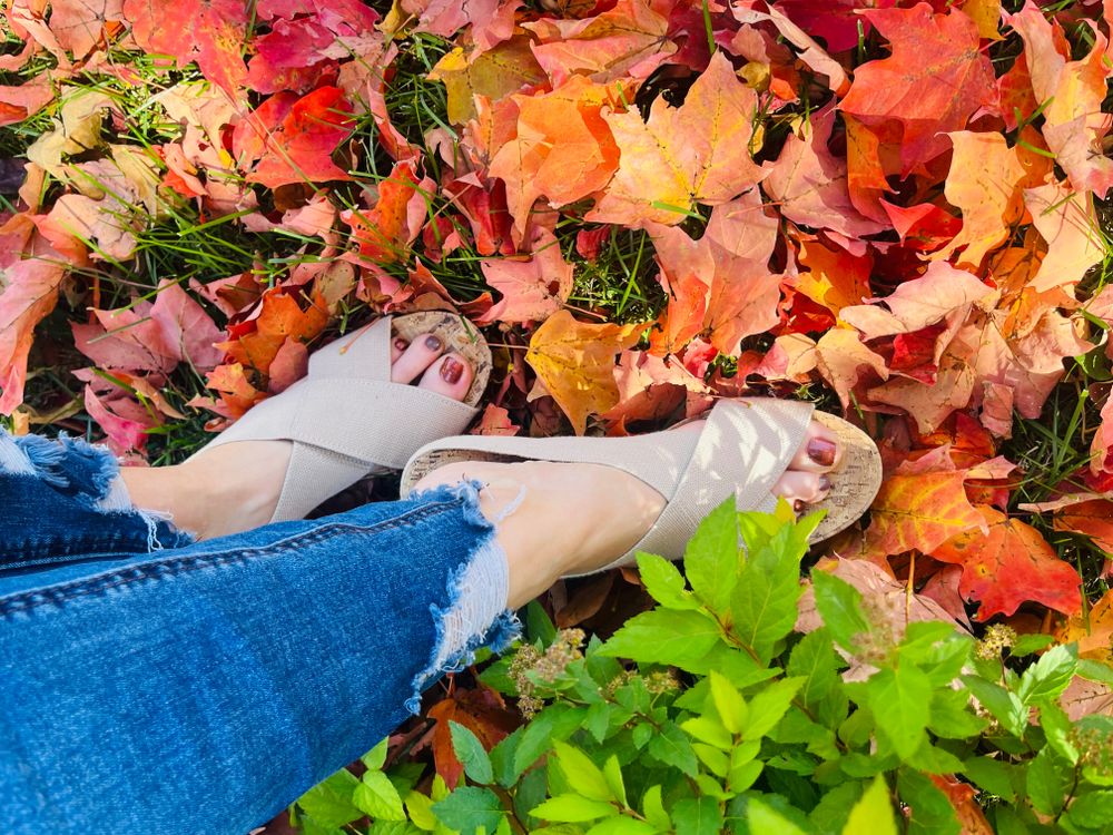 eroticfeetfun OnlyFans profile picture