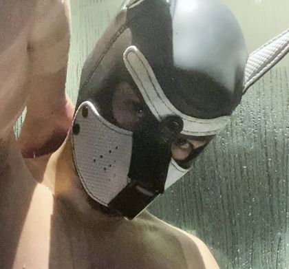 foccaseal OnlyFans picture
