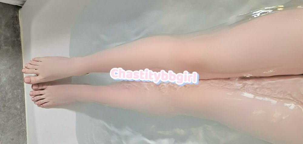 chastitybbgirl OnlyFans profile picture