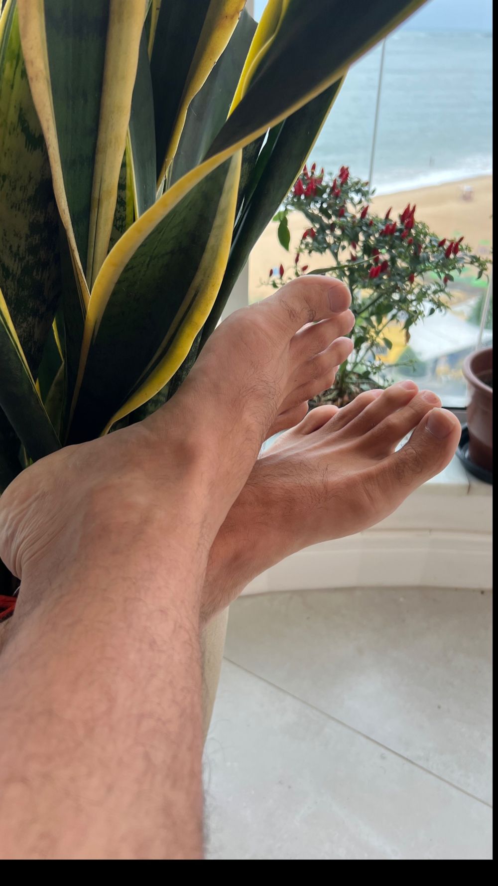 feetarmpitsforfun OnlyFans profile picture