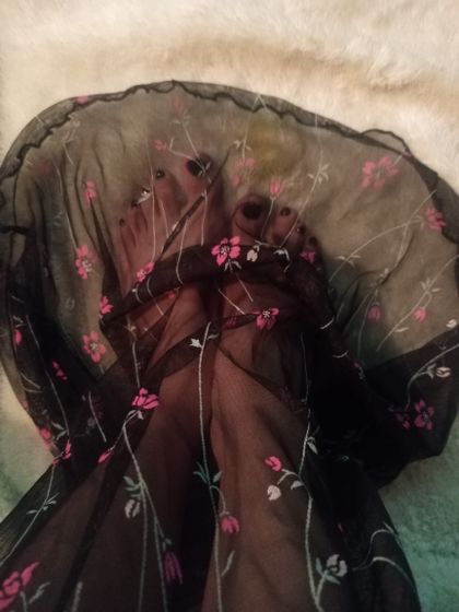 u323733247 OnlyFans picture