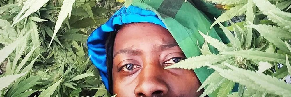 toysoja OnlyFans profile picture