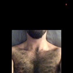 baconbearto OnlyFans picture