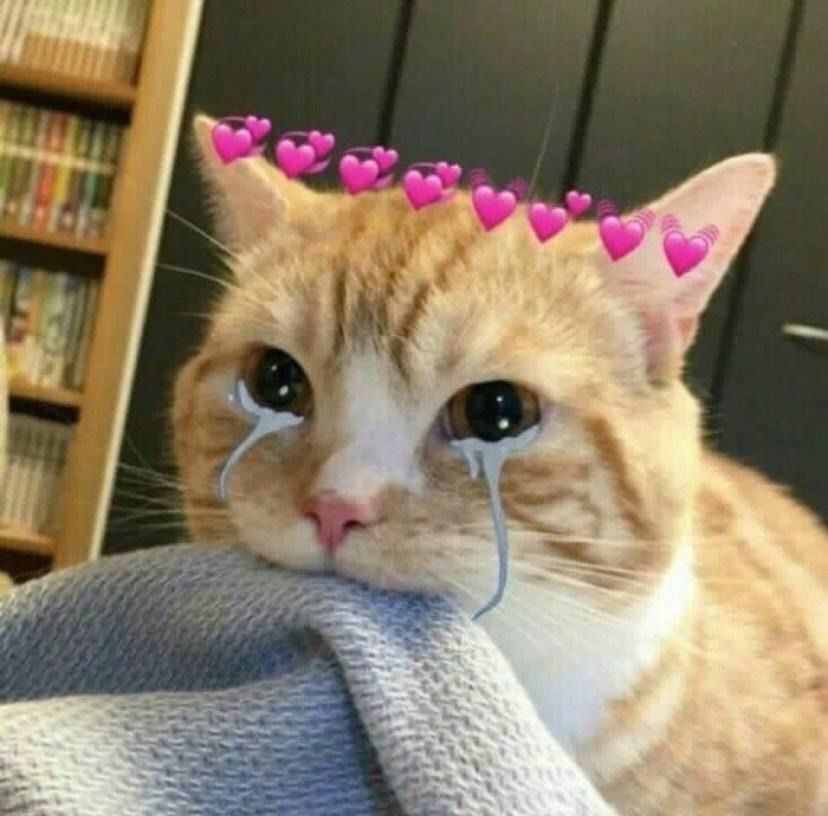 browneyedbf OnlyFans profile picture