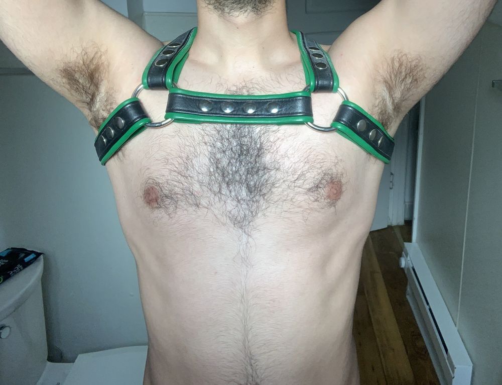 hungotterboy94 OnlyFans profile picture