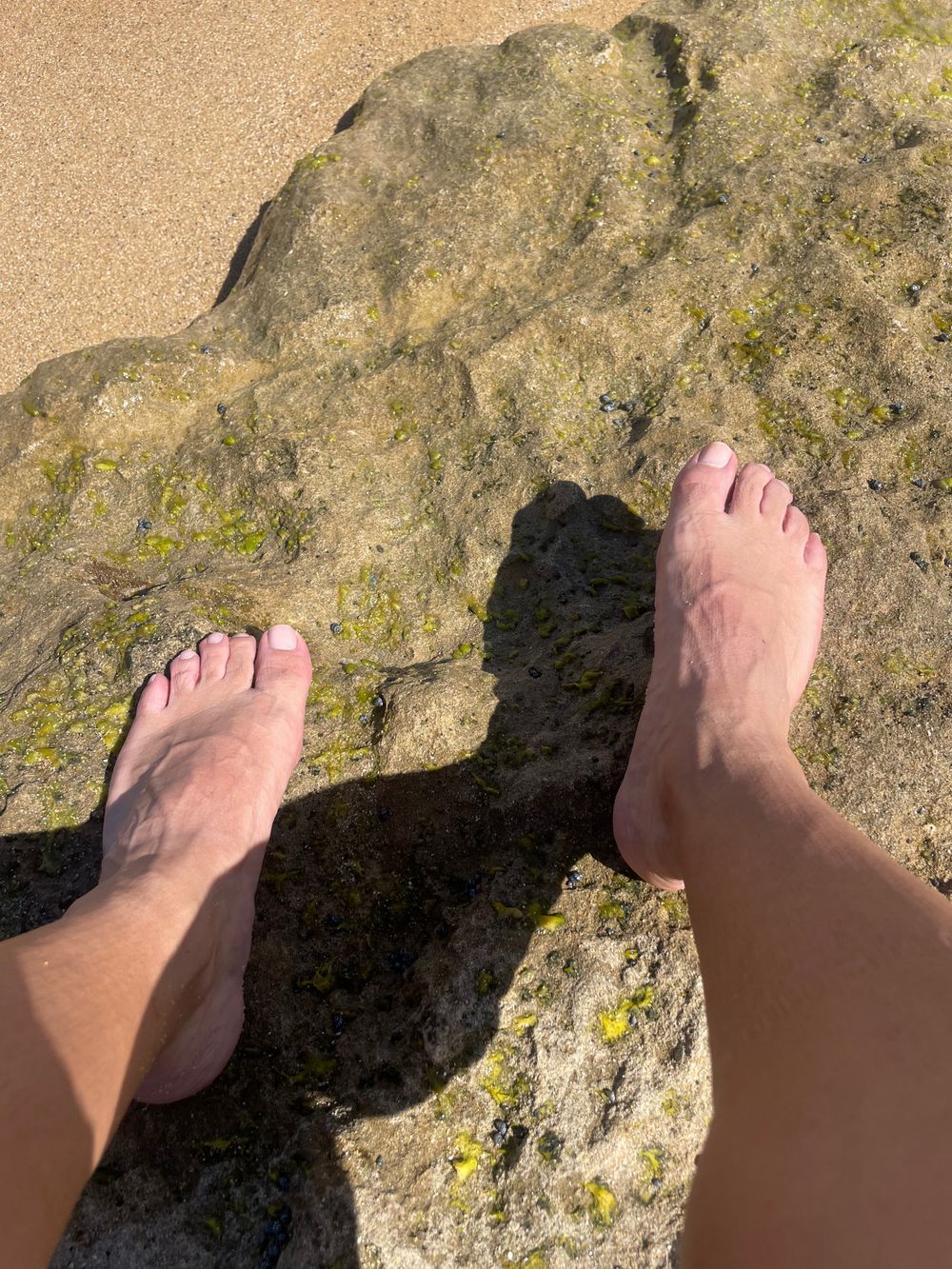 borislandfeet OnlyFans profile picture