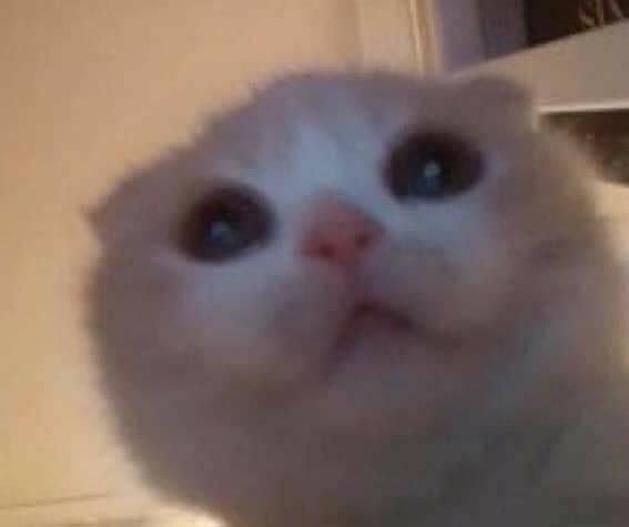 spunks OnlyFans profile picture