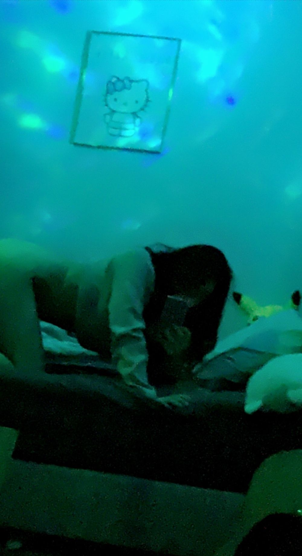 sweetsomber OnlyFans profile picture