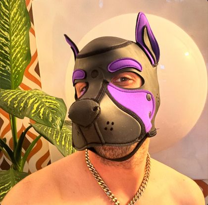 pup_murx OnlyFans picture