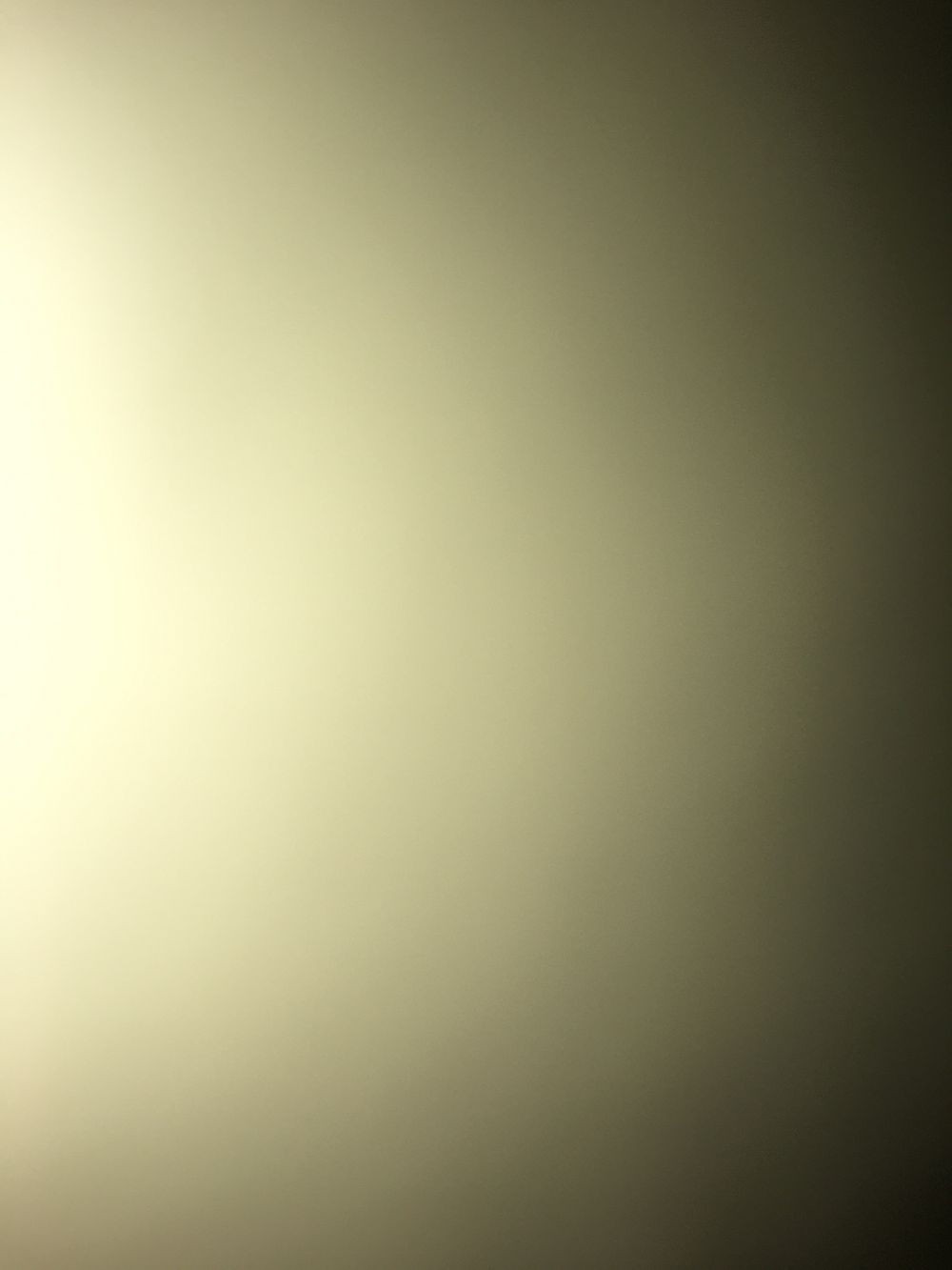 bandotooraww OnlyFans profile picture