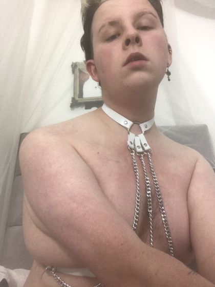digsopup OnlyFans picture
