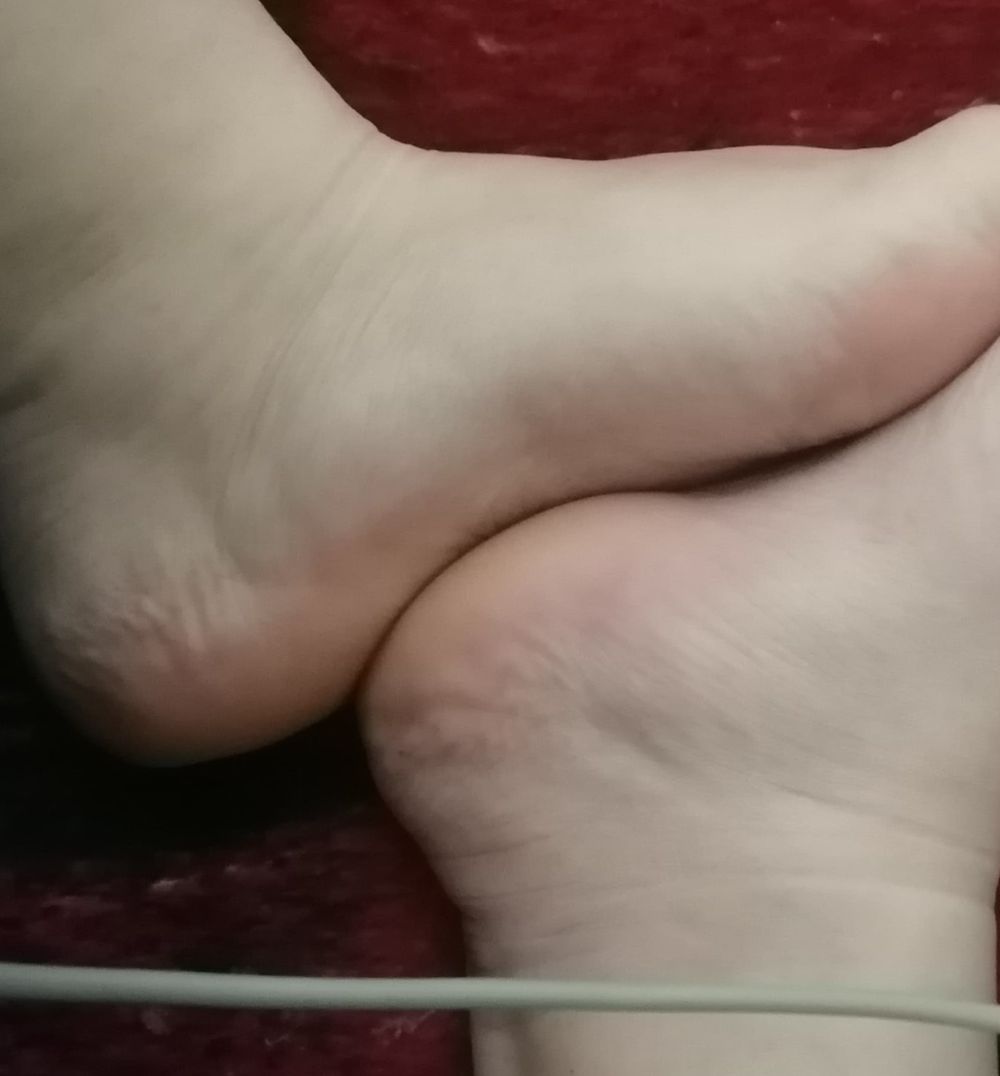 minezakipaws OnlyFans profile picture