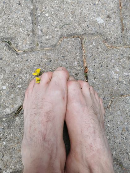 feetmaster666 OnlyFans picture