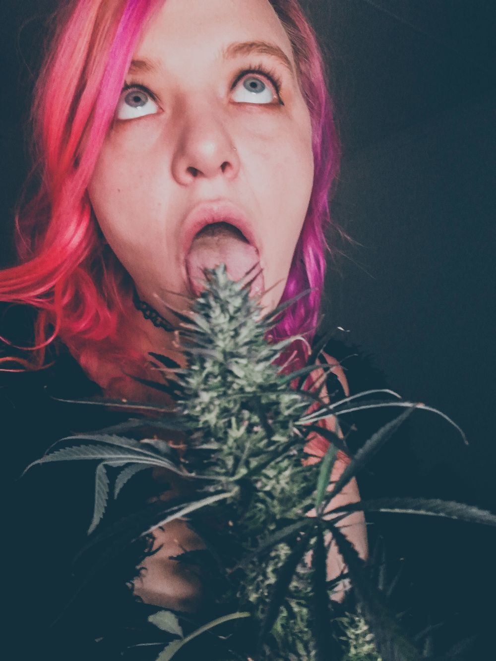kittenjupiter OnlyFans profile picture