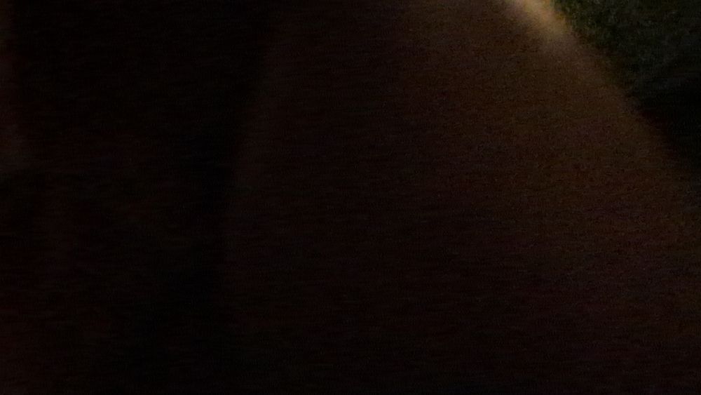 issswrap OnlyFans profile picture
