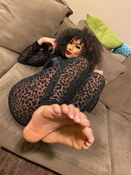 sayyestoyassy OnlyFans picture