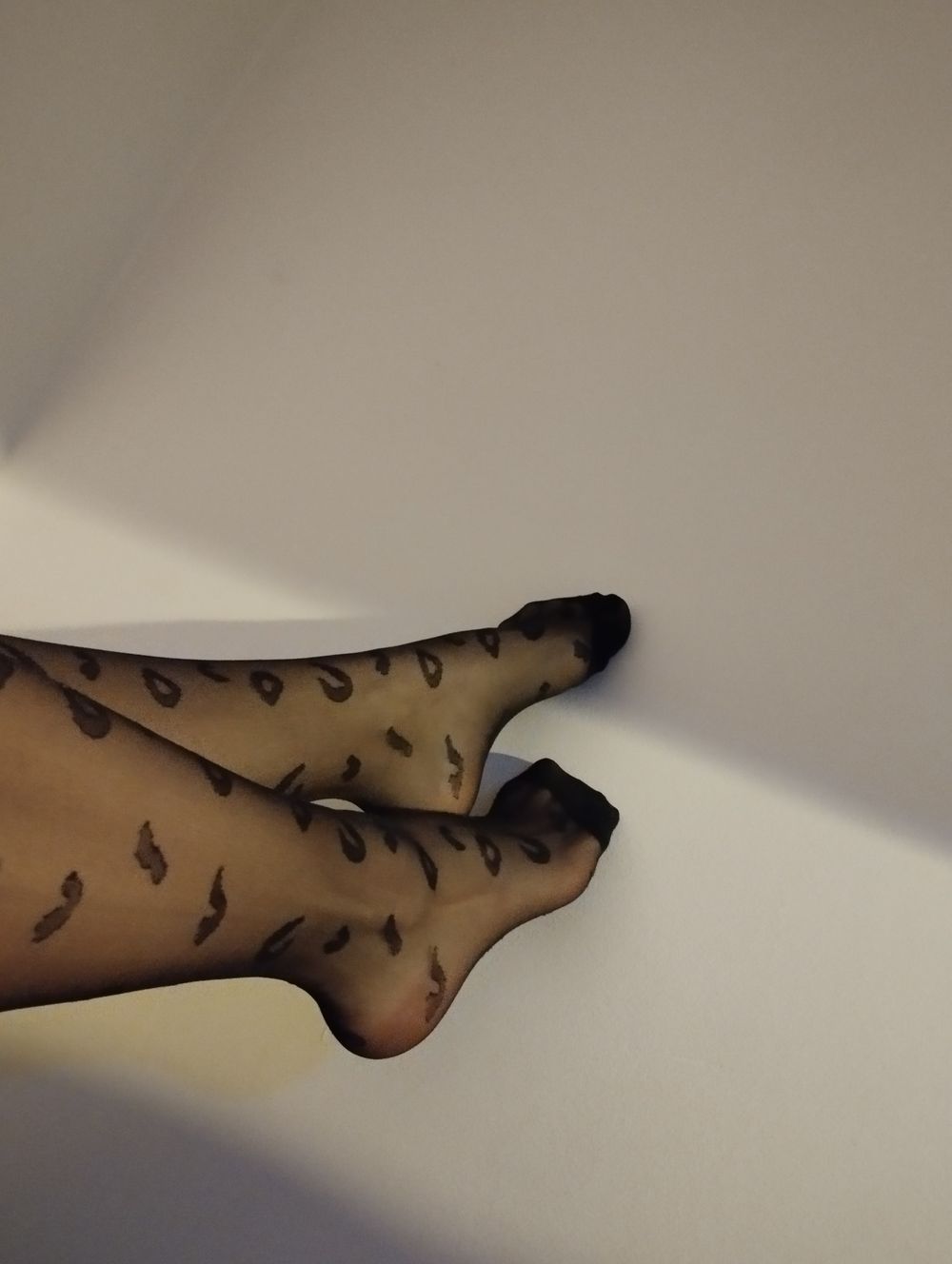 urmollyfolly OnlyFans profile picture