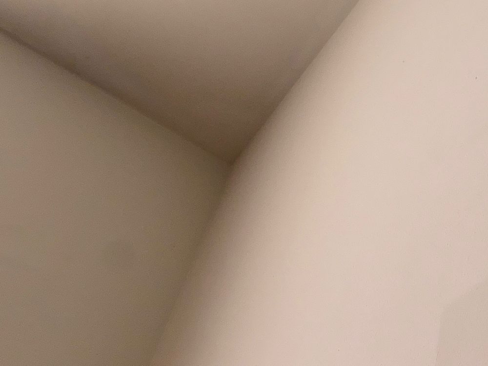 dampan OnlyFans profile picture