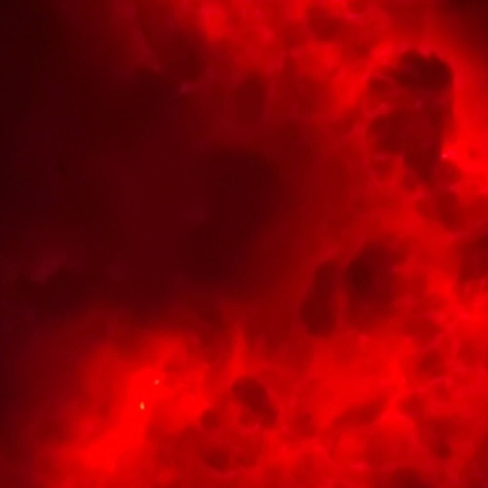 darknvsty OnlyFans profile picture