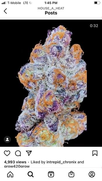 mr.exoticgrow OnlyFans profile picture