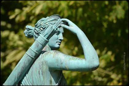 artemis-feet OnlyFans picture