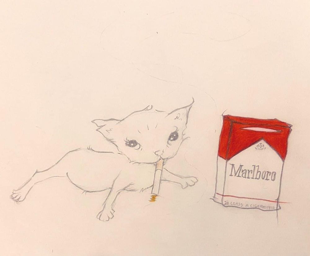 salemseesghosts OnlyFans profile picture
