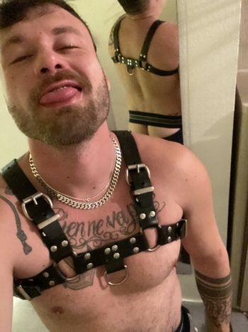 The Bear in Jocks