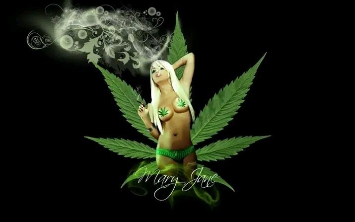 stonerprincess90 OnlyFans profile picture