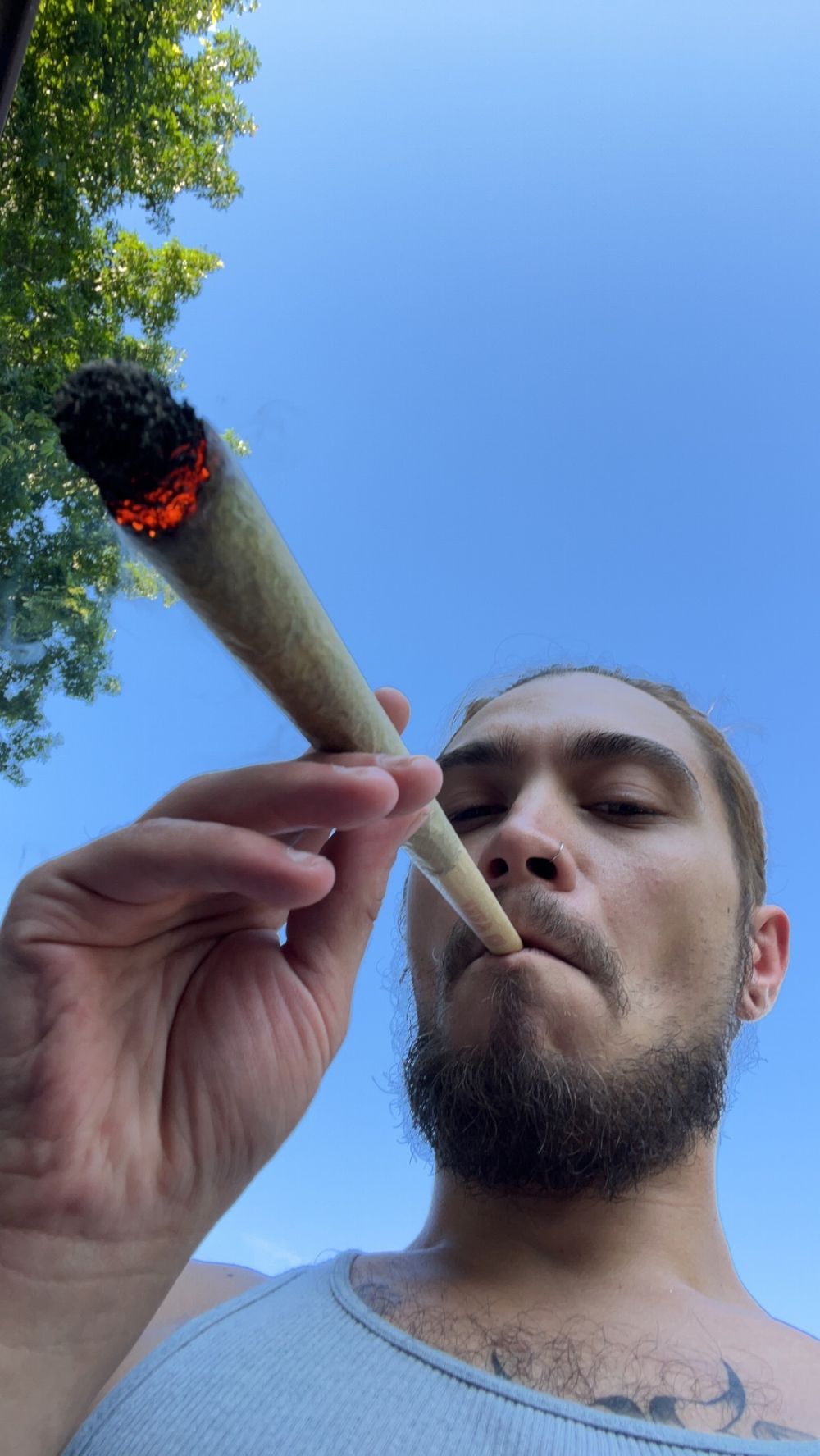 snokeysbacc420 OnlyFans profile picture