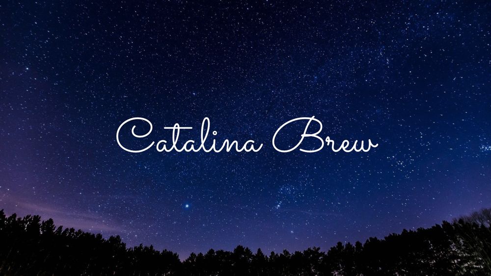 catalinabrew OnlyFans profile picture
