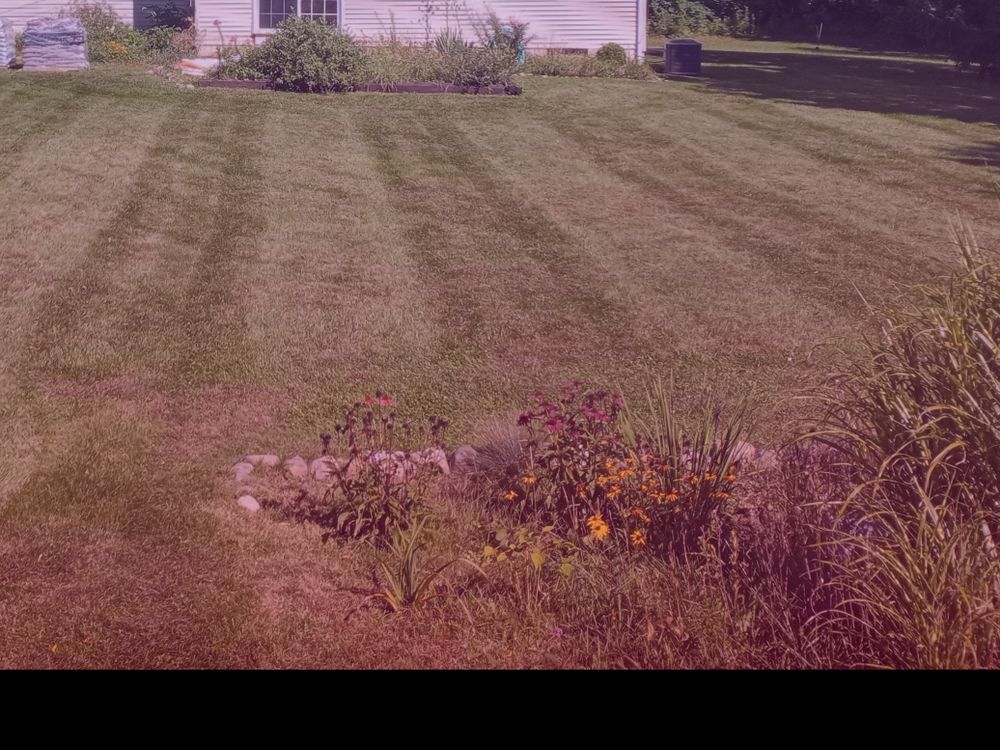 your_lawn_guy OnlyFans profile picture