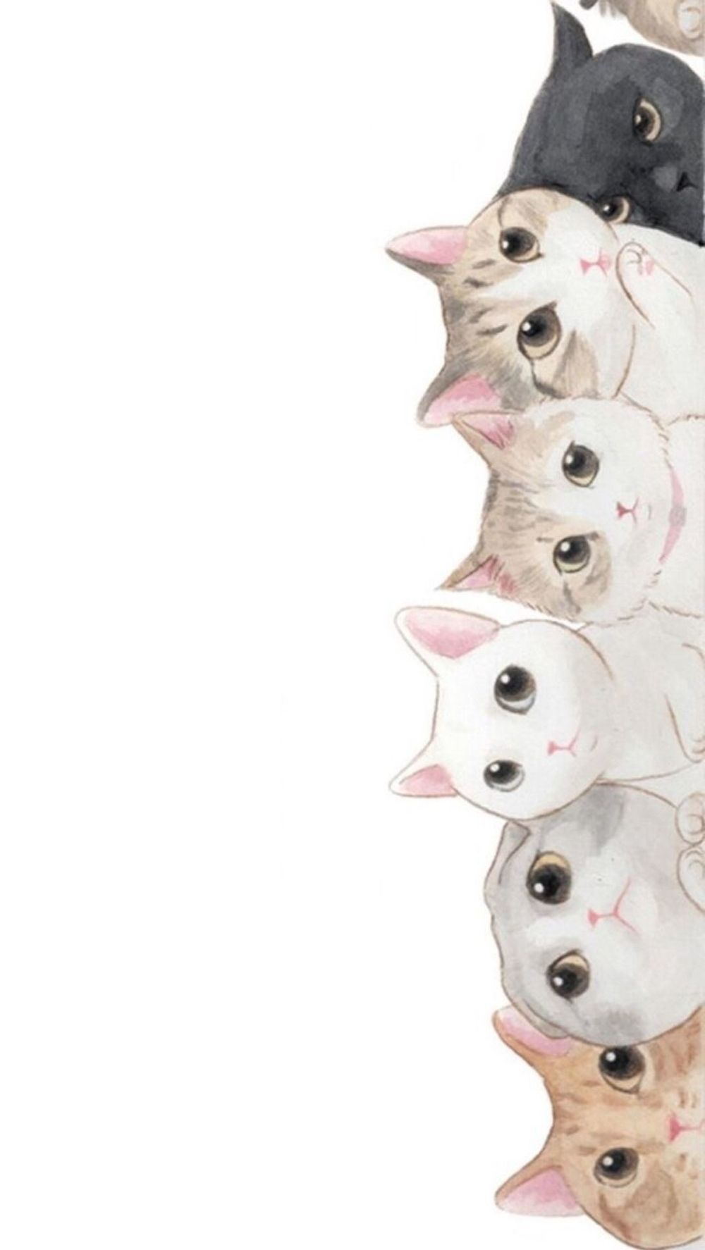 kittiekatsa OnlyFans profile picture