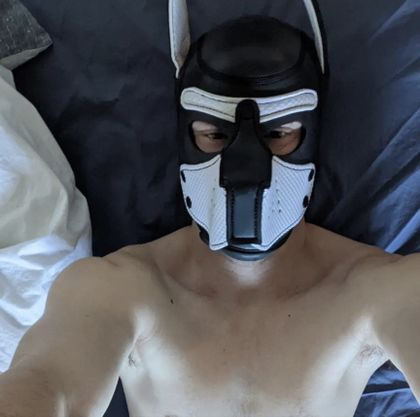 furryflirts OnlyFans picture